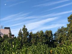 -朕悦鹧鸪饭私房菜