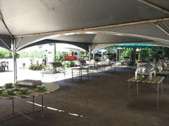 -东姑阿都拉曼海洋公园