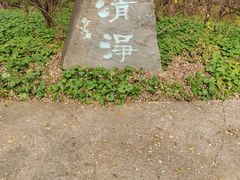 -高尔山公园