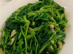 菠菜苗-廣味潮鲜·一品潮滋味(五道口店)