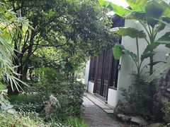 -上海醉白池公园