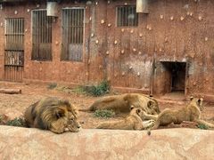 -昆明动物园