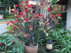 -厦门日月谷温泉渡假村