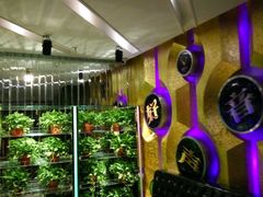 -乐道好声音量贩式KTV(北行店)