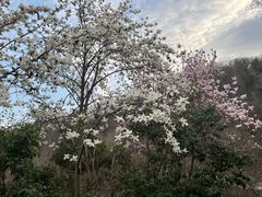 -南京市江宁方山
