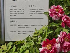 -太阳宫公园