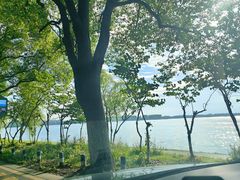 -尚湖风景区