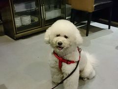 -HIHE Bistro·Oyster Bar(华熙live店)