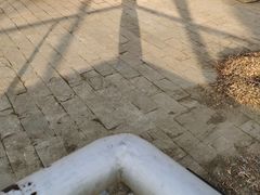 -南长河公园