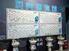 -贝壳梦幻世界