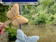 -鼎湖山风景区