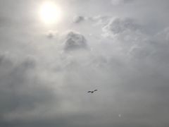 -东疆建设开发纪念公园