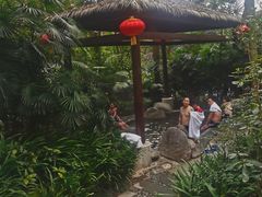 -青城道汤池