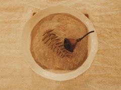 -MAISON门前杂货店