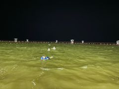 -碧海金沙