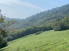 -敬亭山风景名胜区