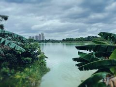 -鹤之洲湿地公园