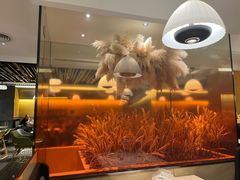 -稻香迎囍皇宫(港惠店)