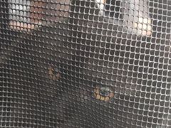-美联众合动物医院·24h京西诊疗中心