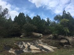 -白水寺森林公园