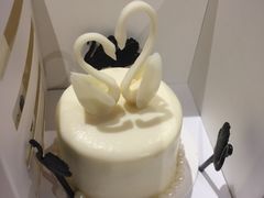 -BLACKSWAN黑天鹅(环球店)