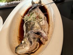 -上和臻品中国菜(花园街店)