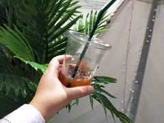 -马尾咖啡(宏济新路店)
