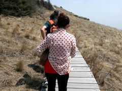 -白草畔自然风景区