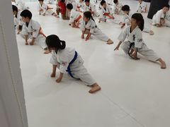 -极真空手道修远道场