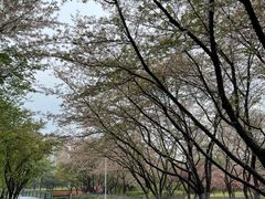 -白塘生态植物园