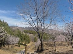 -白水寺森林公园