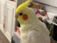 -黄记煌三汁焖锅(新佳丽江汉路店)