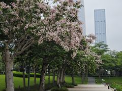 -深圳人才公园