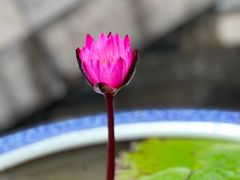 -西安市广仁寺