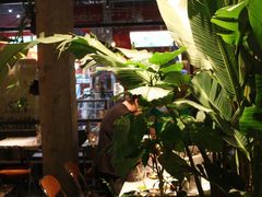 -HERB SPICE(来凤街店)