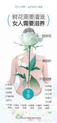 点击看大图 -玛莲朵·海菲秀冰珀科