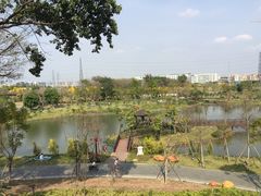 -王借岗森林公园