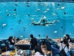 -瑞德姆美人鱼海底演艺主题餐厅(亚龙湾店)