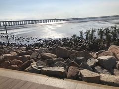 -宝安西湾红树林湿地公园