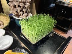 -捞王锅物料理(凯旋路店)