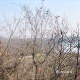 连降噪耳机都能够舍弃，一个双肩包就到达这里