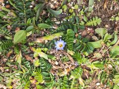 -德宏芒市国际机场