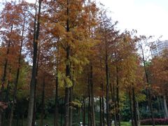 景点-晓港公园