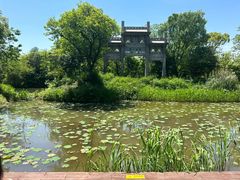 -西溪国家湿地公园