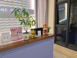 -SILKTONE诗丽堂美容