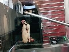 -宏天寶·北京烤鸭(宾馆西路2店)