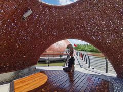 -东寨港红树林旅游区