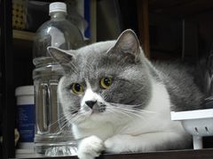 -不作·手工银饰DIY(西红门店)