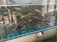 -高淳老街土菜馆(迎薰门店)