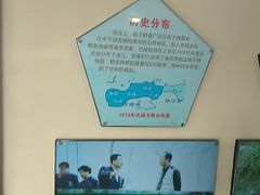 -中国扬子鳄村